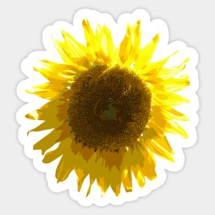 Sunflower Sticker